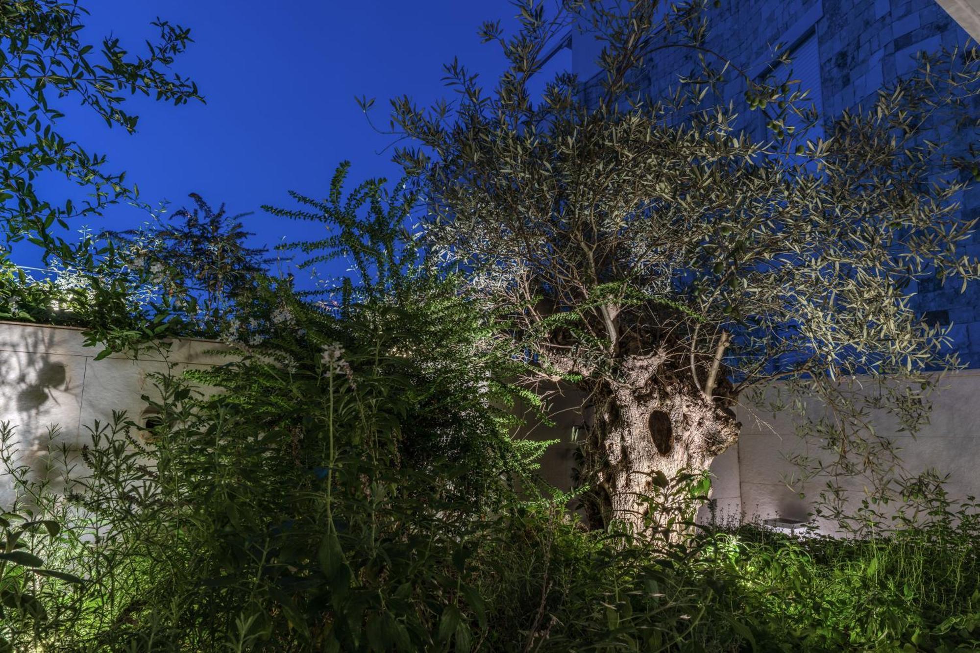 Olea Boutique Suites Polignano Polignano a Mare Buitenkant foto